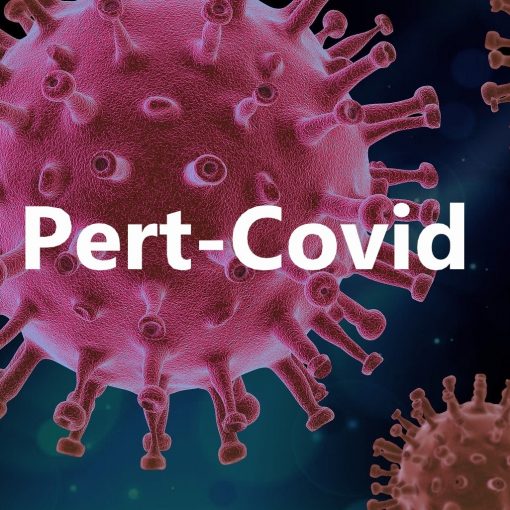 Pert-Covid